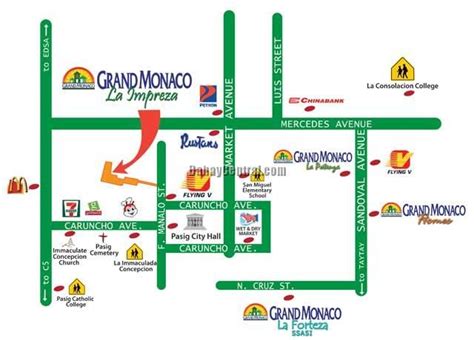 pasig city hall, caruncho ave., brgy. san nicolas, pasig city|Google Maps.